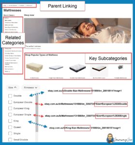 key subcategories